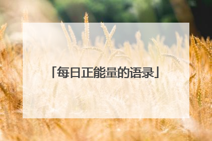 每日正能量的语录