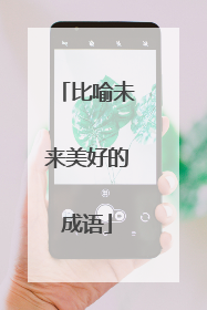 比喻未来美好的成语