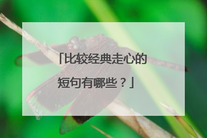 比较经典走心的短句有哪些?