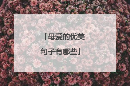 母爱的优美句子有哪些