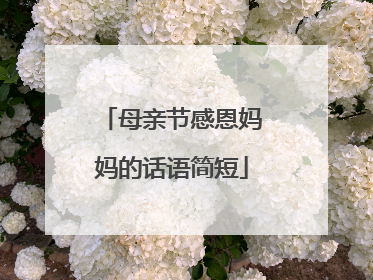 母亲节感恩妈妈的话语简短