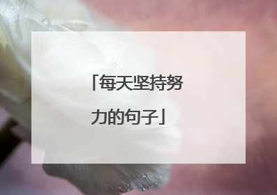 每天坚持努力的句子