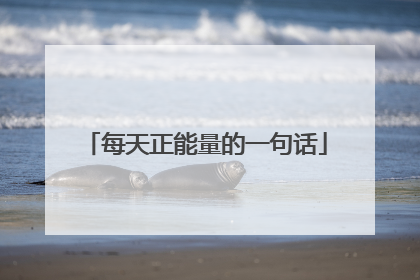 每天正能量的一句话
