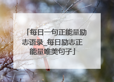 每日一句正能量励志语录_每日励志正能量唯美句子