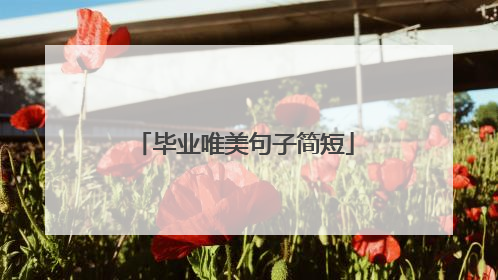 毕业唯美句子简短