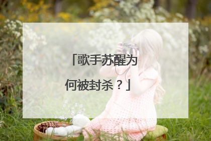 歌手苏醒为何被封杀？