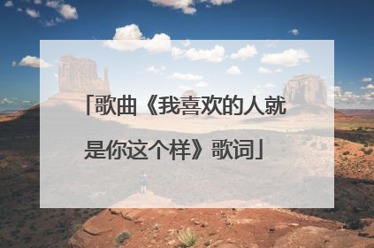 歌曲《我喜欢的人就是你这个样》歌词