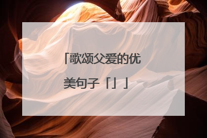 歌颂父爱的优美句子「」