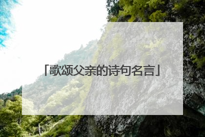 歌颂父亲的诗句名言