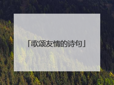 歌颂友情的诗句
