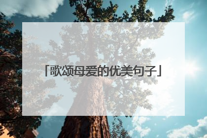 歌颂母爱的优美句子