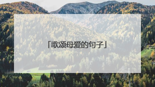 歌颂母爱的句子