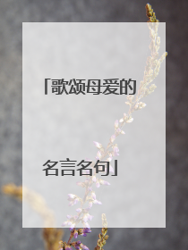 歌颂母爱的名言名句