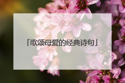 歌颂母爱的经典诗句