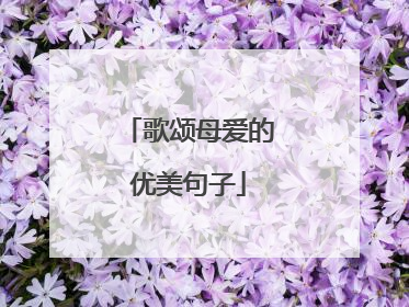 歌颂母爱的优美句子