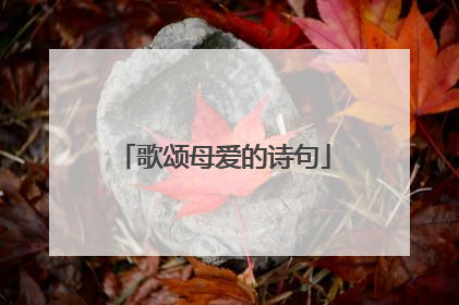 歌颂母爱的诗句