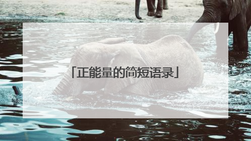 正能量的简短语录