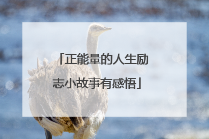 正能量的人生励志小故事有感悟