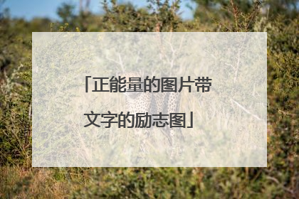 正能量的图片带文字的励志图