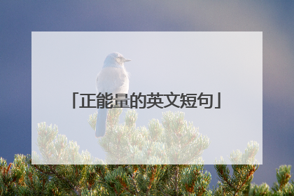 正能量的英文短句