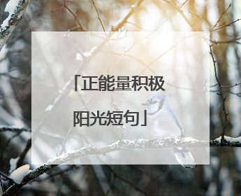 正能量积极阳光短句