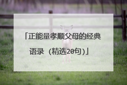 正能量孝顺父母的经典语录 (精选20句)