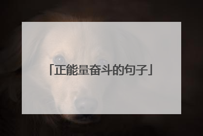 正能量奋斗的句子
