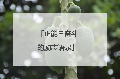 正能量奋斗的励志语录