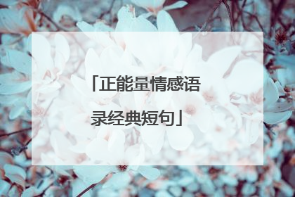 正能量情感语录经典短句