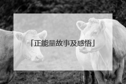 正能量故事及感悟