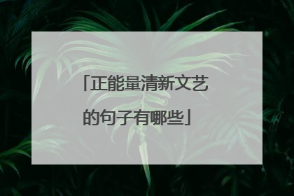 正能量清新文艺的句子有哪些