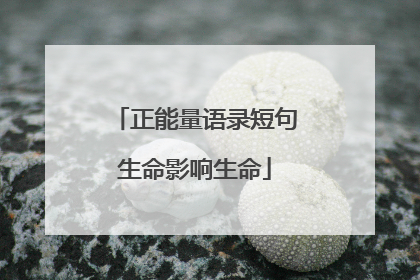 正能量语录短句生命影响生命