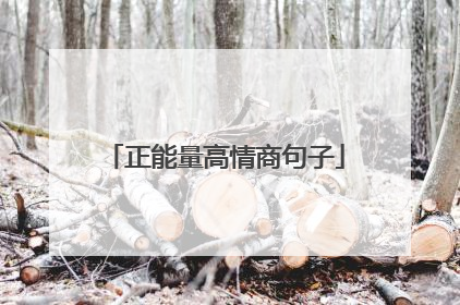 正能量高情商句子