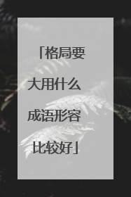 格局要大用什么成语形容比较好