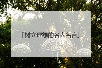 树立理想的名人名言