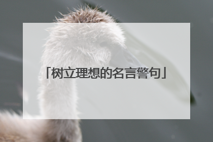 树立理想的名言警句