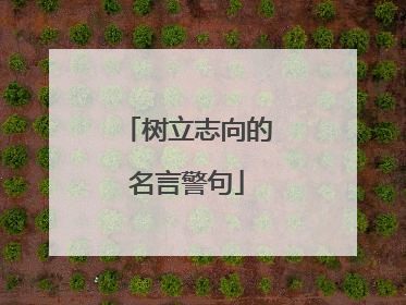树立志向的名言警句