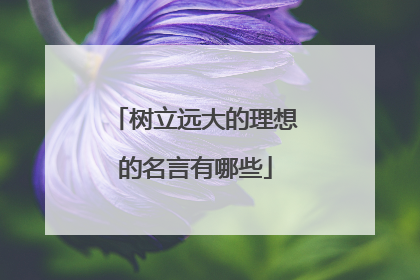 树立远大的理想的名言有哪些