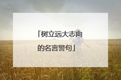 树立远大志向的名言警句