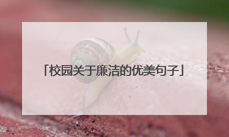 校园关于廉洁的优美句子
