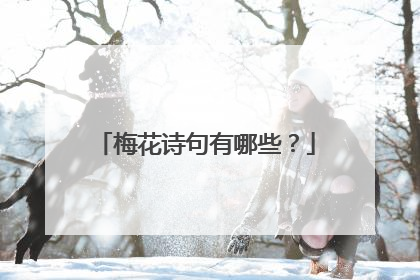 梅花诗句有哪些?