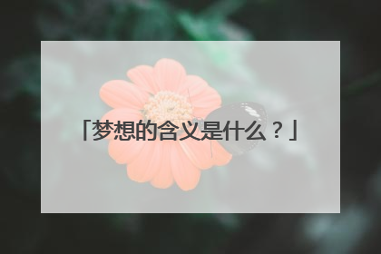 梦想的含义是什么?