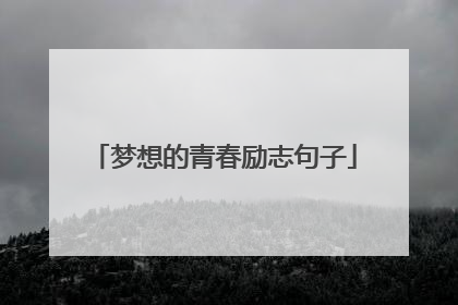 梦想的青春励志句子