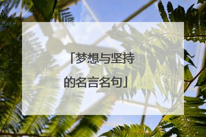梦想与坚持的名言名句
