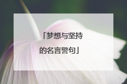 梦想与坚持的名言警句