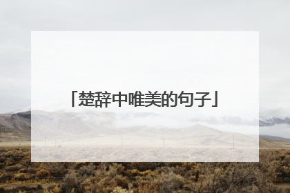 楚辞中唯美的句子