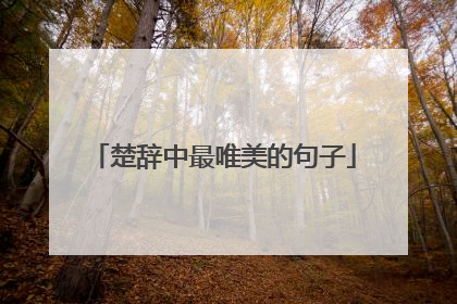 楚辞中最唯美的句子