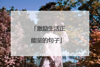 激励生活正能量的句子