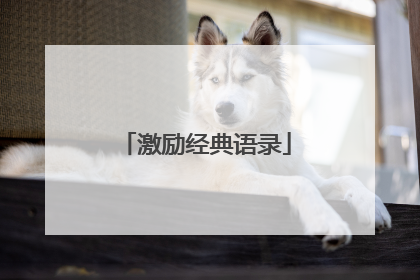 激励经典语录