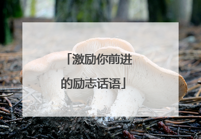 激励你前进的励志话语